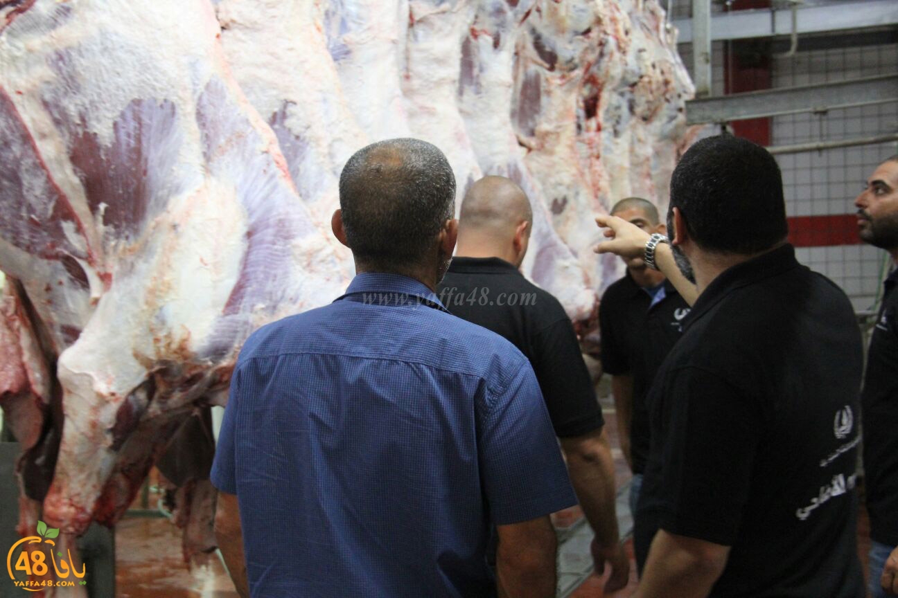 jam3iya yaffa 3ojolej (24).jpg